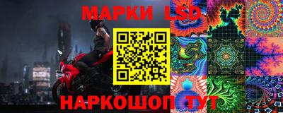 крисы Шелехов