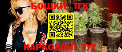 крисы Шелехов