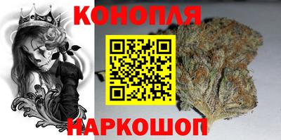крисы Шелехов