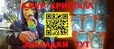 крисы Шелехов