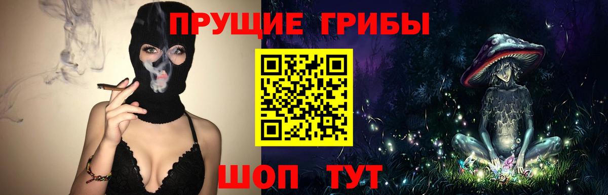Мыски  Галлюциногенные грибы Cubensis  Вход с VPN  Псилоцибиновые грибы GOLDEN TEACHER 